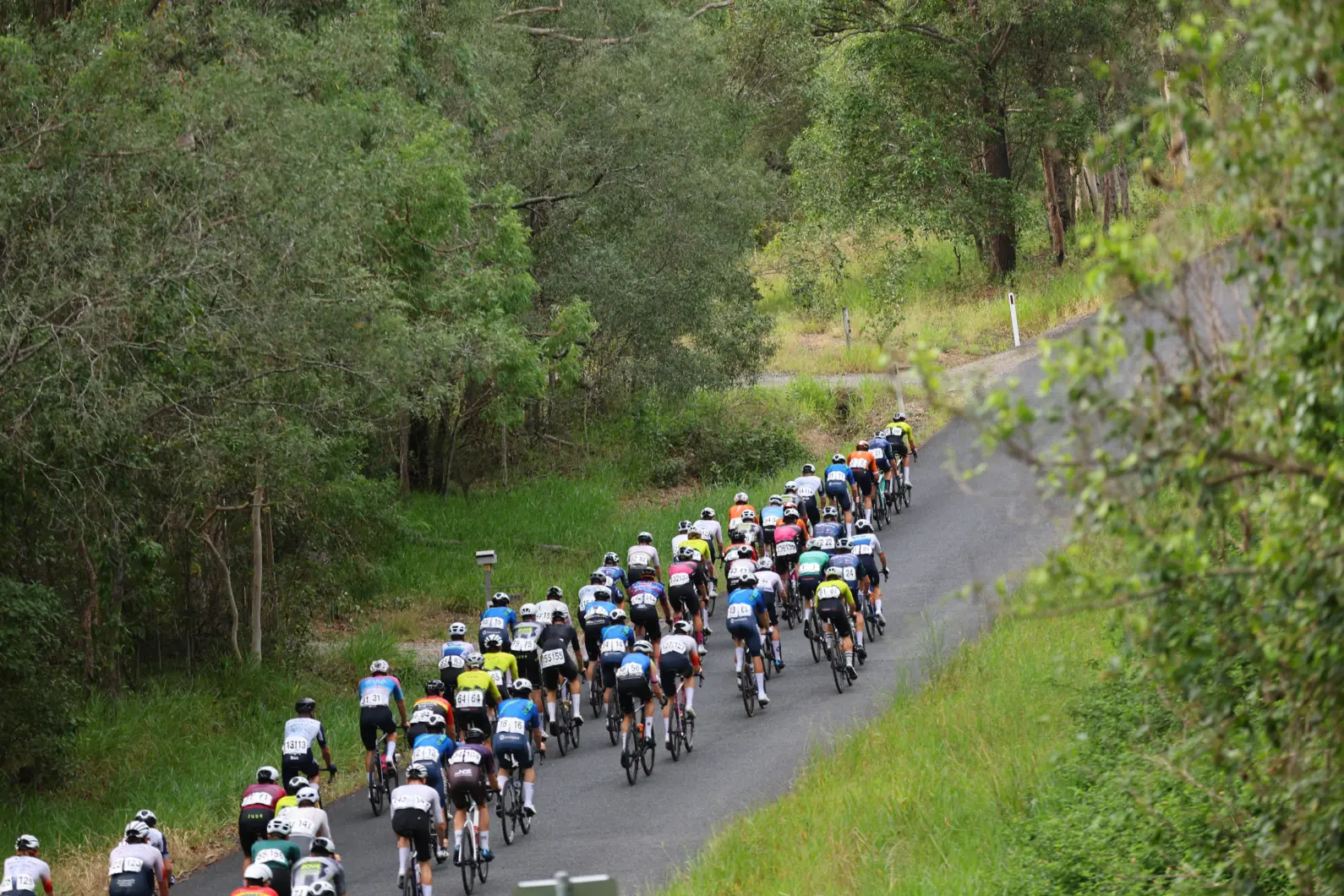 Pro Velo Stg 4 RR 63433