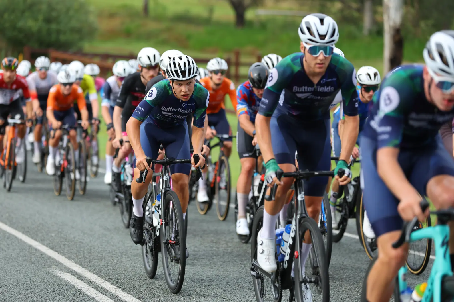 Pro Velo Stg 4 RR 63983