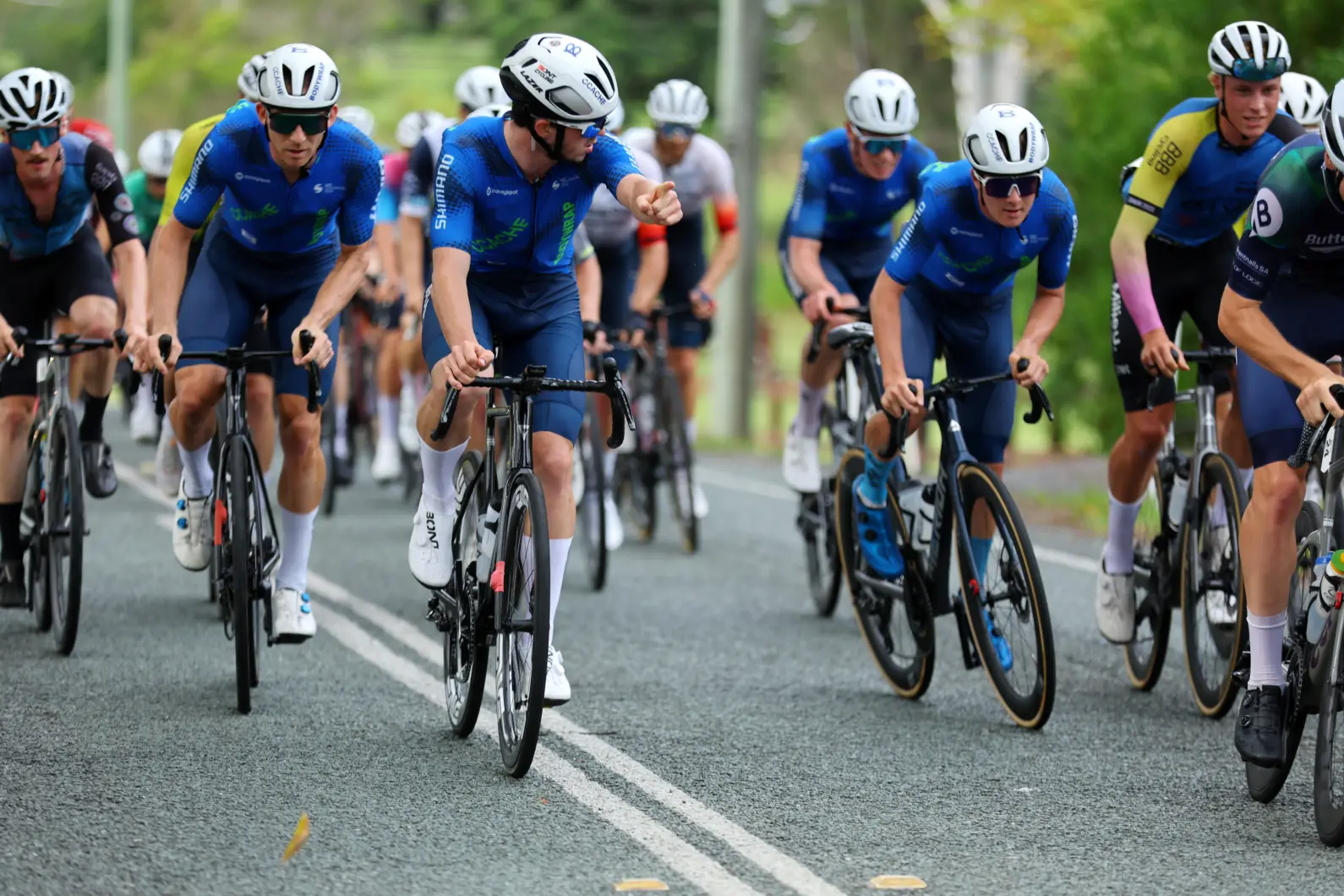 Pro Velo Stg 4 RR 64133