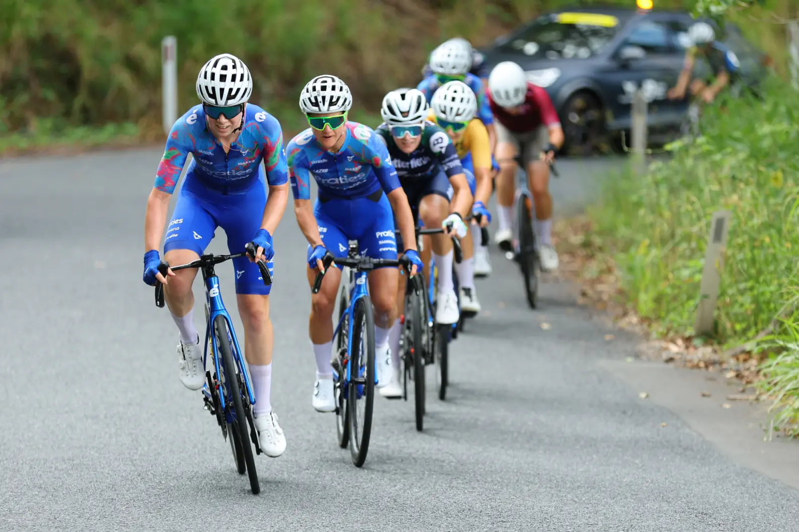 Pro Velo Stg 4 RR 80743